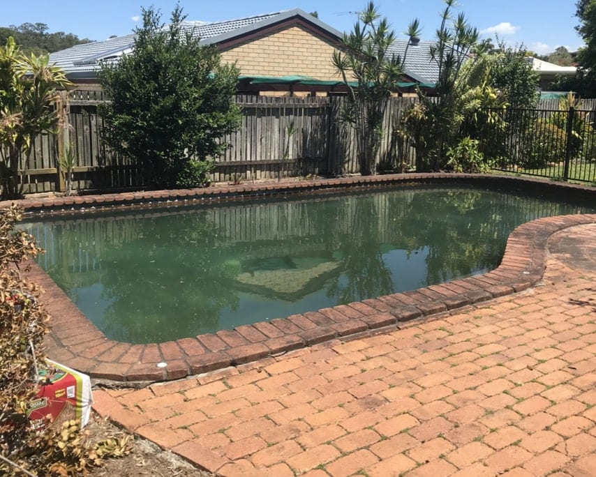 Pool before treatment — dark green algae water