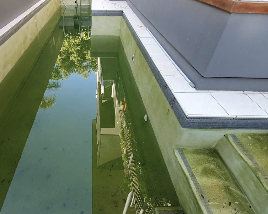 Pool before renovation — green water and old coping